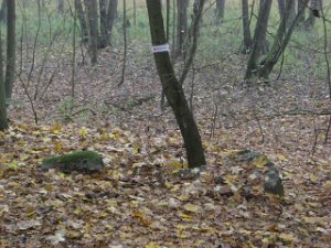 CTF-Kesselsee 041